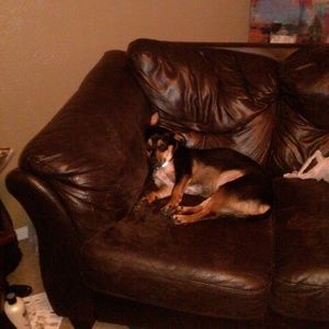 Meet your Posher, Cedric